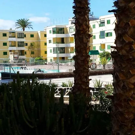 Ronsan * Maspalomas (Gran Canaria)