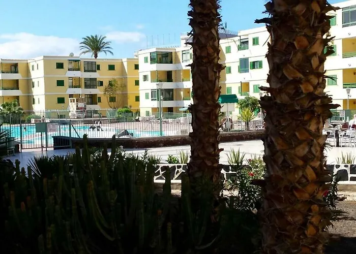 Ronsan * Maspalomas (Gran Canaria)